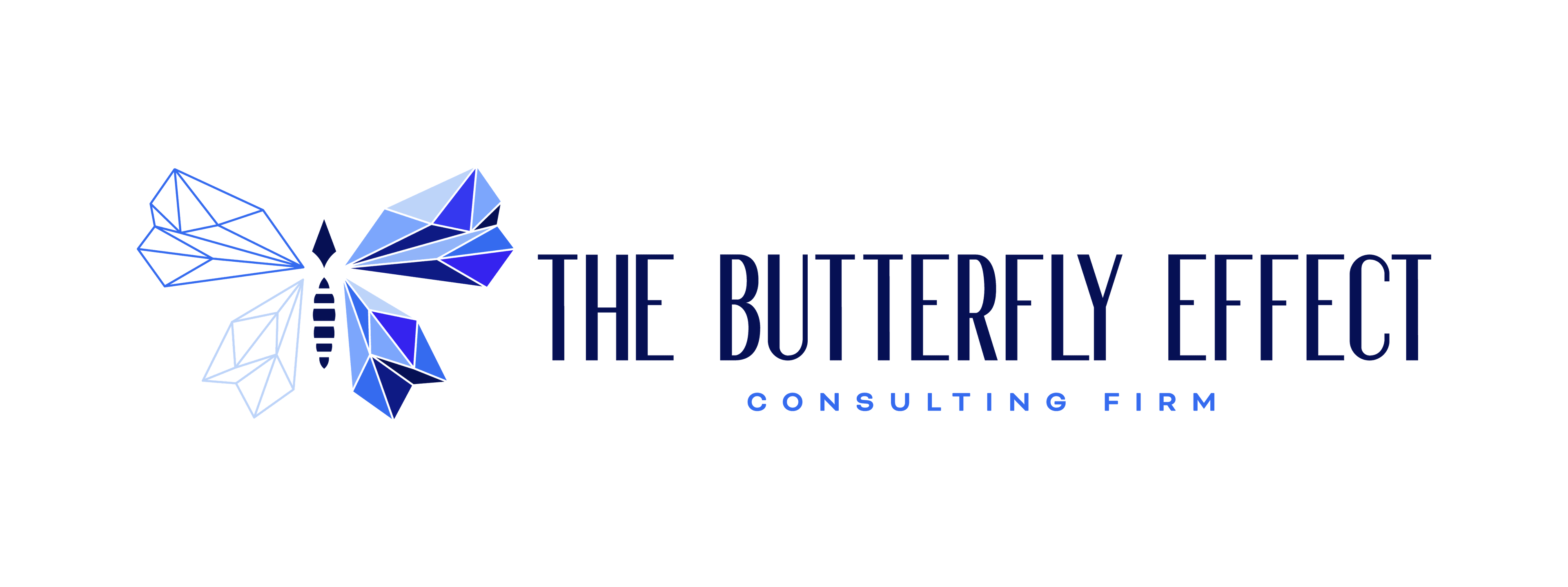 The Butterfly Effect Consulting Firm